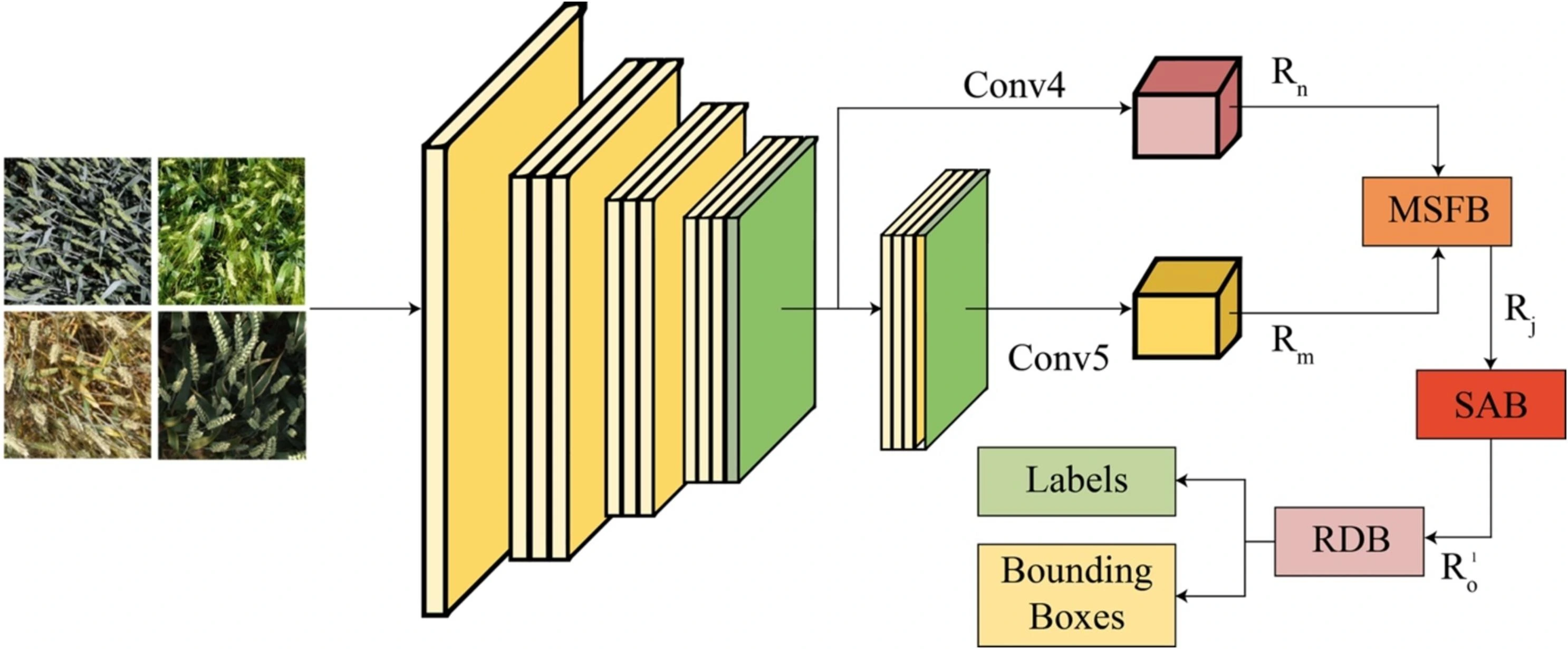 FLTrans-Net: Transformer-based feature learning network for wheat head detection